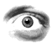 Popis: eye