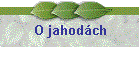 O jahodách