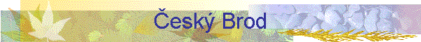 esk Brod