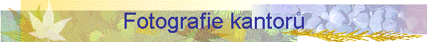 Fotografie kantor