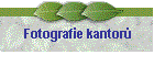 Fotografie kantor