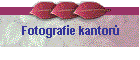 Fotografie kantor