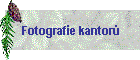 Fotografie kantorů