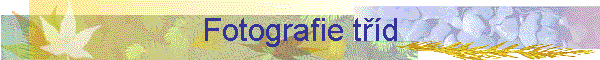 Fotografie td