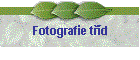 Fotografie td