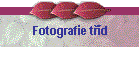Fotografie td