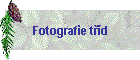 Fotografie td