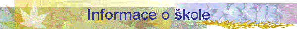 Informace o kole
