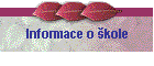 Informace o kole
