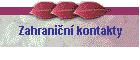 Zahranin kontakty