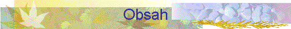 Obsah