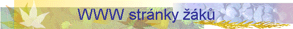 WWW strnky k