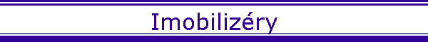 Imobiliz�ry