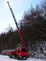Renault Midlum