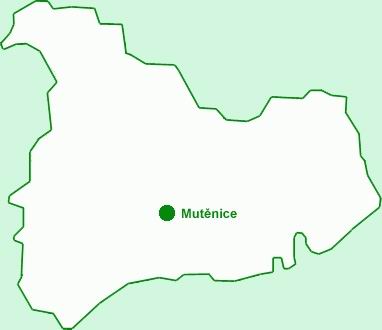 Mutnick oblast