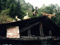 Kozy na cest na Rifugio Corniselli