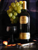 Vino5a.jpg (35543 bytes)