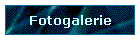 Fotogalerie