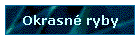 Okrasn ryby