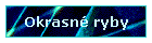 Okrasn ryby