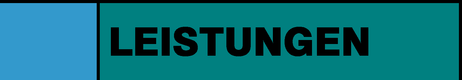 LEISTUNGEN